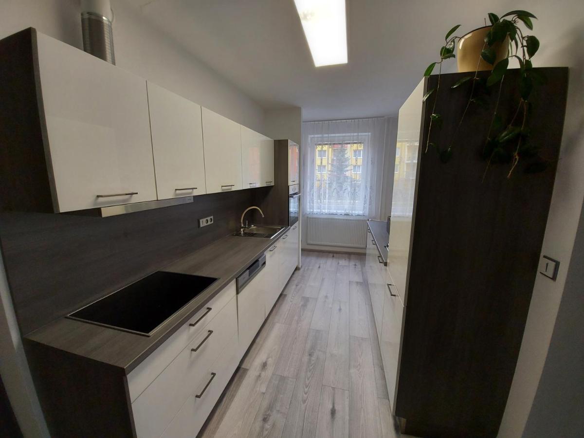 Apartman Eva - Plne Vybaveny Byt - Тин-над-Влтавоу Экстерьер фото