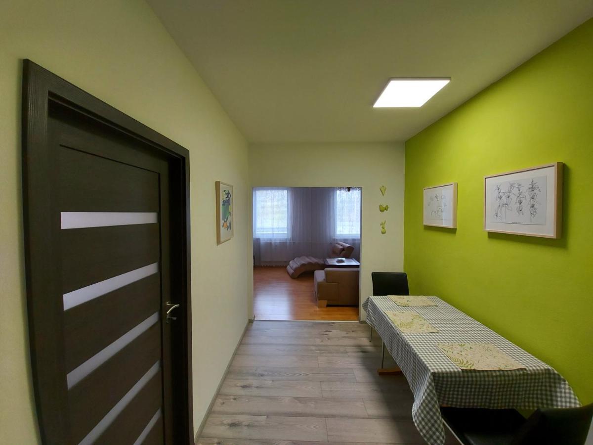 Apartman Eva - Plne Vybaveny Byt - Тин-над-Влтавоу Экстерьер фото